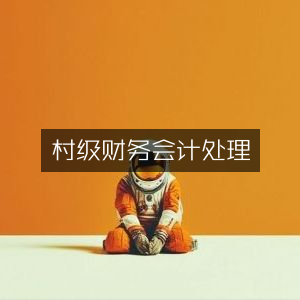村级财务会计核算与处理