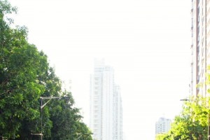 城市街道摄影风景背景