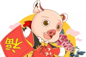 2019漂亮可爱送福猪