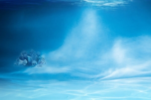 海底