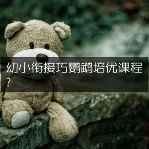 幼小衔接优选巧鹦鹉培优课程