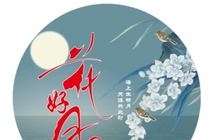 花好月圆饼茶素材