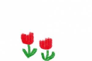 手绘郁金香简笔图