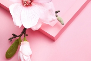感恩节奢华美妆大促banner