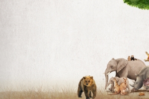 世界动物日保护动物简约banner
