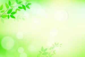 淘宝梦幻绿色背景