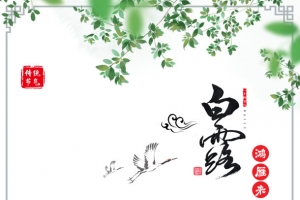 白露仙鹤祥云树枝绿叶边框