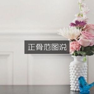 正骨范图解析，古典文集精选