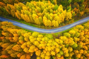 4k 高清 风景 秋天 公路 摄影 俯视 电脑壁纸 3840x2160