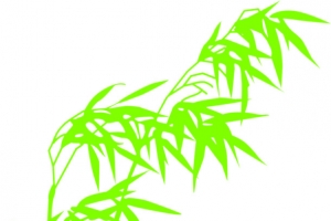 绿色清新手绘竹叶竹林
