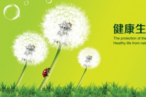 健康养生自然背景