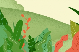 夏天手绘插画花草促销淘宝绿色背景