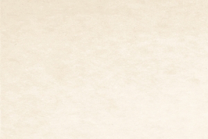 二十四节气芒种稻谷简约淘宝电商banner