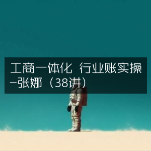 工商一体化行业账务实战操作课程-张娜精讲（38节）