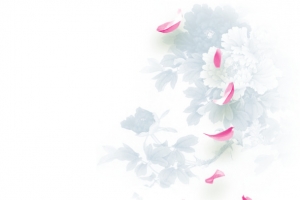 花瓣