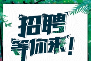 大气饭店招聘海报