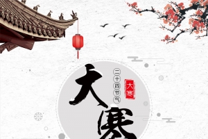 二十节气雪景中国风海报