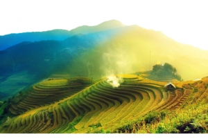 美丽的梯田