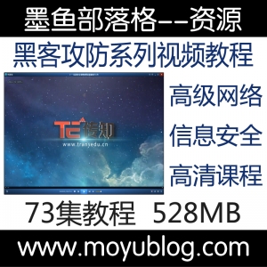 黑客攻防实战，深入解析网络与信息安全高级视频教程