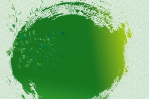 绿色端午节背景