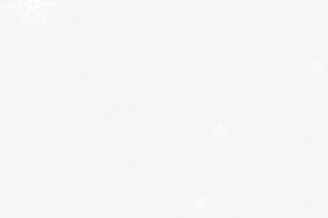 白色雪花