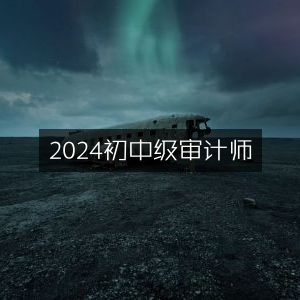 2024初中级审计师考试指南