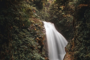 瀑布 水 植物 树叶 自然 4k壁纸 3840x2160