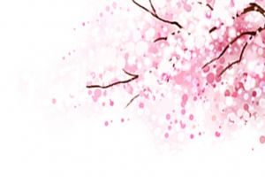 高清摄影手绘活动樱花