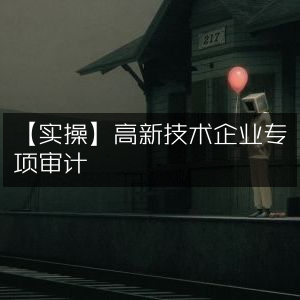 实操指南，高新技术企业专项审计详解