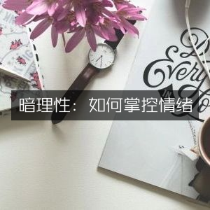 暗理性，掌握情绪管理，提升个人能力的必读之书