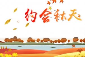秋季秋天约会秋天落叶河流