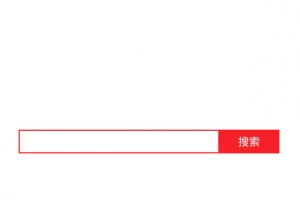 红色简洁搜索框