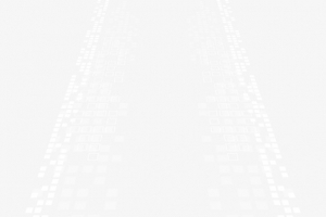 白色格子路径