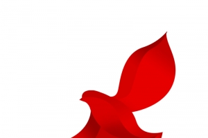 和平鸽抽象红布高清PNG透明免扣设计素材免费下载