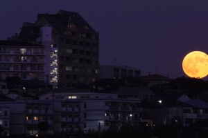 城市 夜晚 月亮 建筑物 深色 4k壁纸 3840x2160