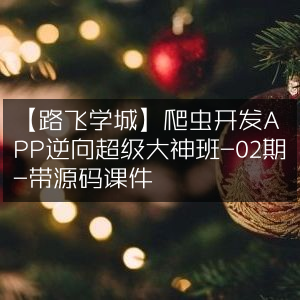 【路飞学城】02期爬虫开发与APP逆向大神班 - 含源码课件