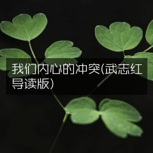 《我们内心的冲突，武志红导读，个人能力提升必读》