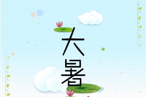 卡通清新荷花大暑节气海报背景