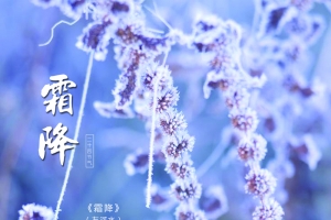 霜降传统节气素材