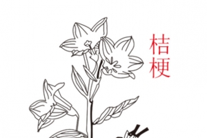 卡通手绘中草药素材