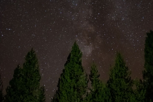 星空 树木 星星 4k壁纸 3840x2160