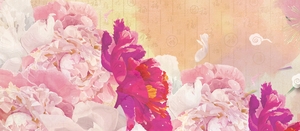 唯美古典花瓣banner壁纸