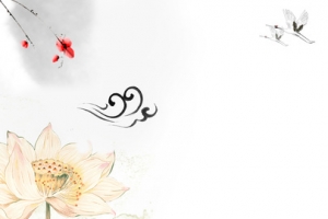美味阳澄湖大闸蟹促销banner