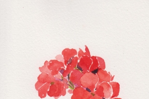 文艺清新水彩花朵