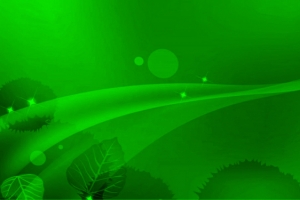 线条 简约 炫光 叶 绿色 背景banner
