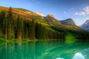 青山绿水风景海报背景
