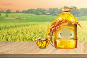 温馨家居风淘宝食用油海报banner
