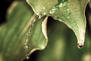 滴 水 雨 床单 宏观 4k壁纸 3840x2160