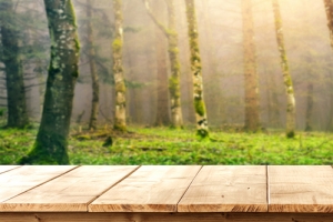 小清新淘宝洗护专场背景banner