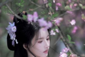古风美女 刘些宁 花 4K手机壁纸